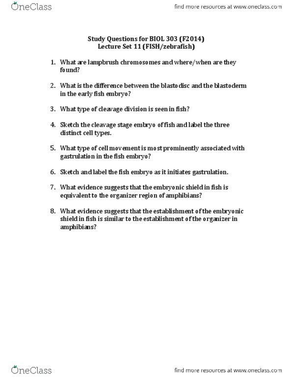 BIOL303 Lecture Notes - Lecture 5: Gastrulation, Lampbrush Chromosome, Germinal Disc thumbnail