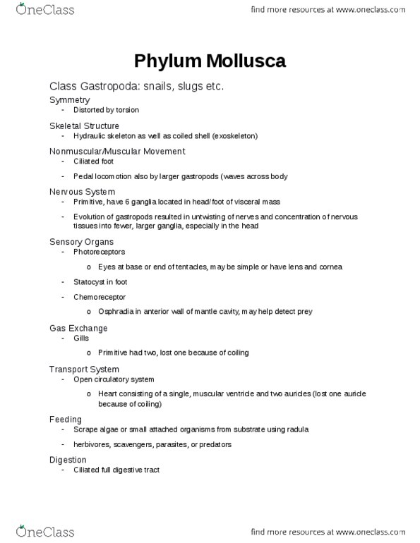 BIOL 202 Chapter Notes - Chapter 10: Hectocotylus, Cuttlefish, Jet Propulsion thumbnail