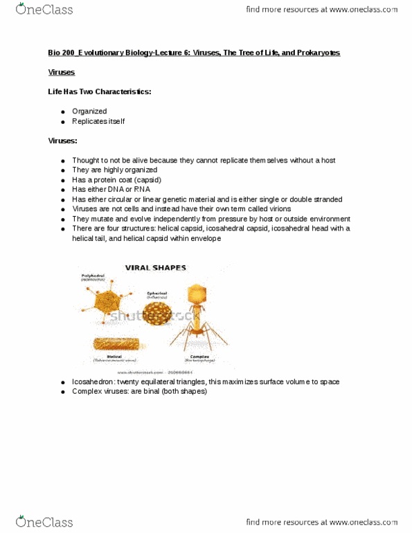 BIO 200 Lecture Notes - Lecture 6: Deinococcus Radiodurans, Actinomyces, Boiling Point thumbnail