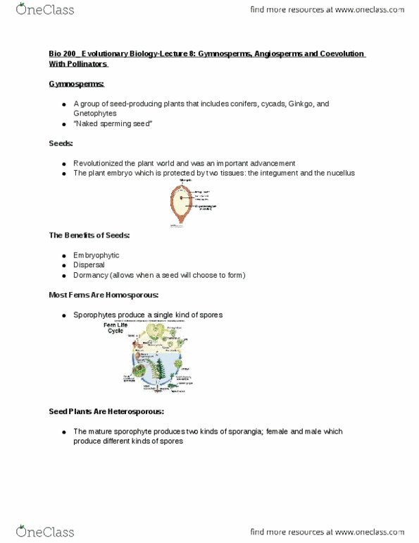 BIO 200 Lecture Notes - Lecture 8: Chloranthaceae, Magnoliids, Monocotyledon thumbnail