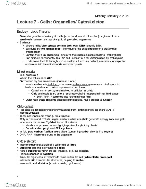 BIOL 112 Lecture 7: Lecture 7 - Cells.pdf thumbnail