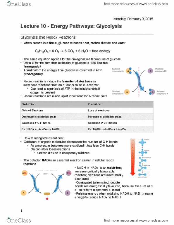 BIOL 112 Lecture 9: Lecture 9 - Glycolysis .pdf thumbnail