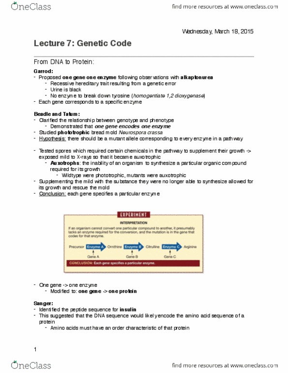 BIOL 112 Lecture 18: Lecture 18 - Genetic Code.pdf thumbnail