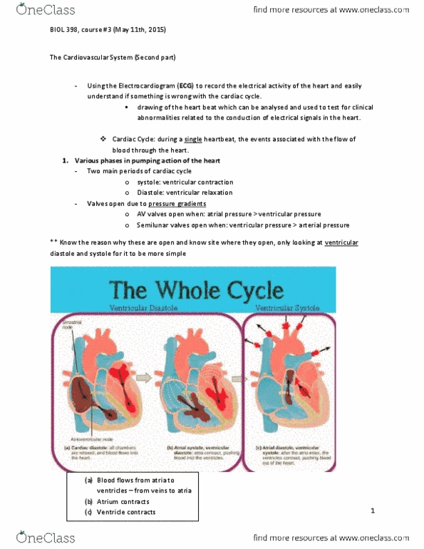BIOL 398 Lecture Notes - Lecture 3: Aortic Valve, Heart Valve, Cardiac Cycle thumbnail