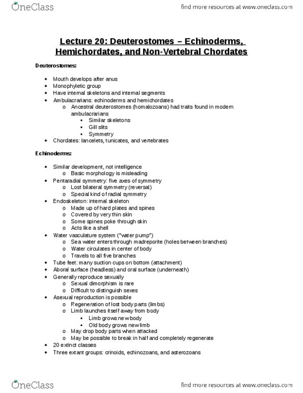 BIO 200 Lecture Notes - Lecture 20: Hemichordate, Crinoid, Madreporite thumbnail