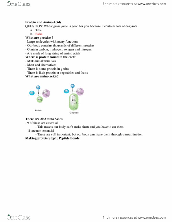 NUTR 1010 Lecture Notes - Lecture 1: Tripeptide, Insulin, Gastrin thumbnail