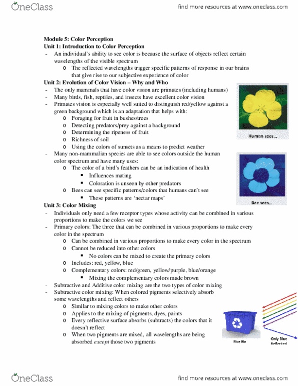 PSYCH 1XX3 Chapter Notes - Chapter 5: Color Blindness thumbnail