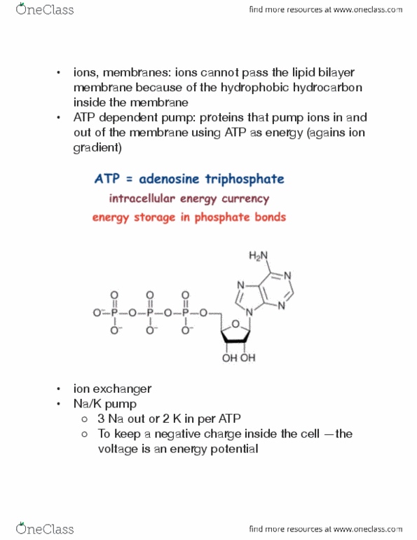 document preview image