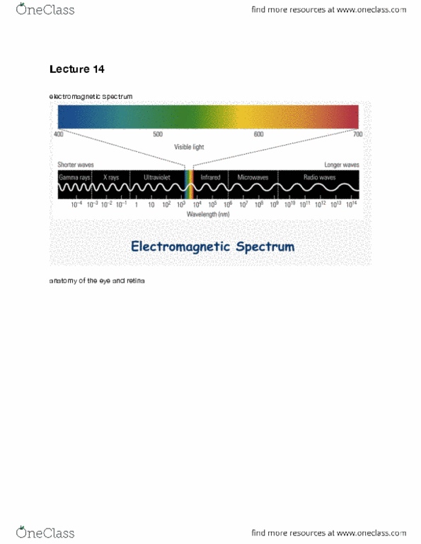 document preview image