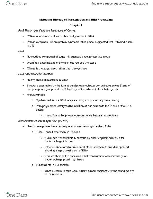 BI226 Lecture Notes - Lecture 7: Small Nuclear Rna, Phosphodiester Bond, Pribnow Box thumbnail