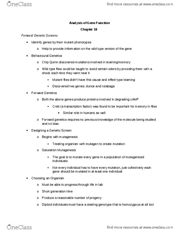 BI226 Lecture Notes - Lecture 11: Lethal Allele, Forward Genetics, Wild Type thumbnail