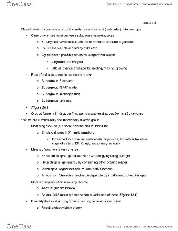 01:119:115 Lecture Notes - Lecture 3: Giardia Lamblia, Symbiogenesis, Excavata thumbnail