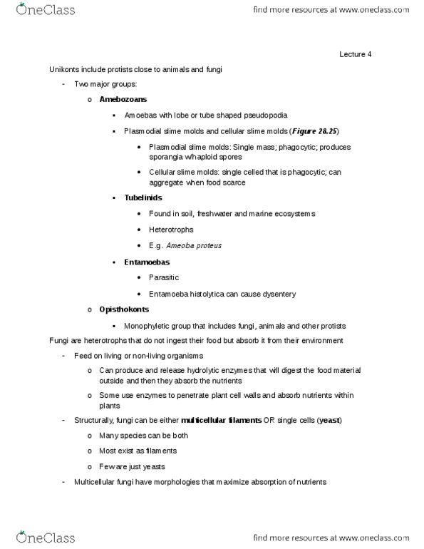 01:119:115 Lecture Notes - Lecture 4: Entamoeba, Nephron, Haustorium thumbnail