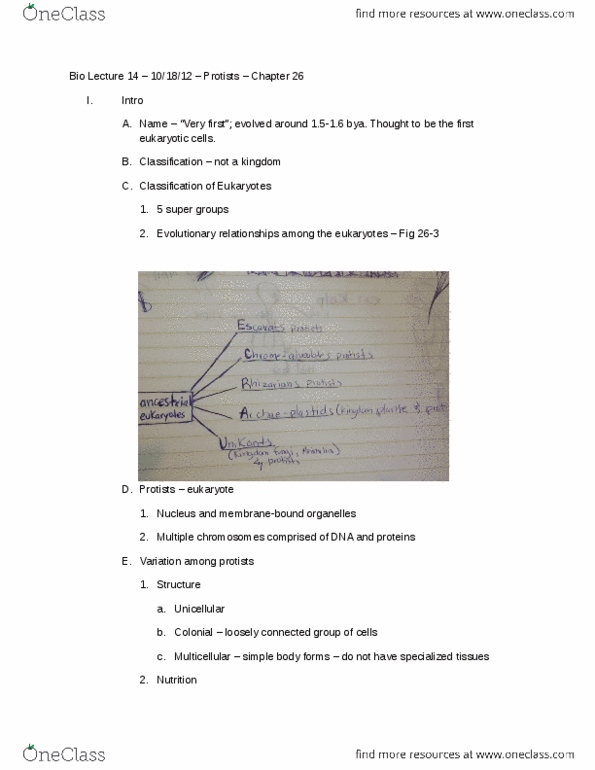 01:119:101 Lecture Notes - Lecture 14: Accessory Pigment, Fucoxanthin, Red Tide thumbnail