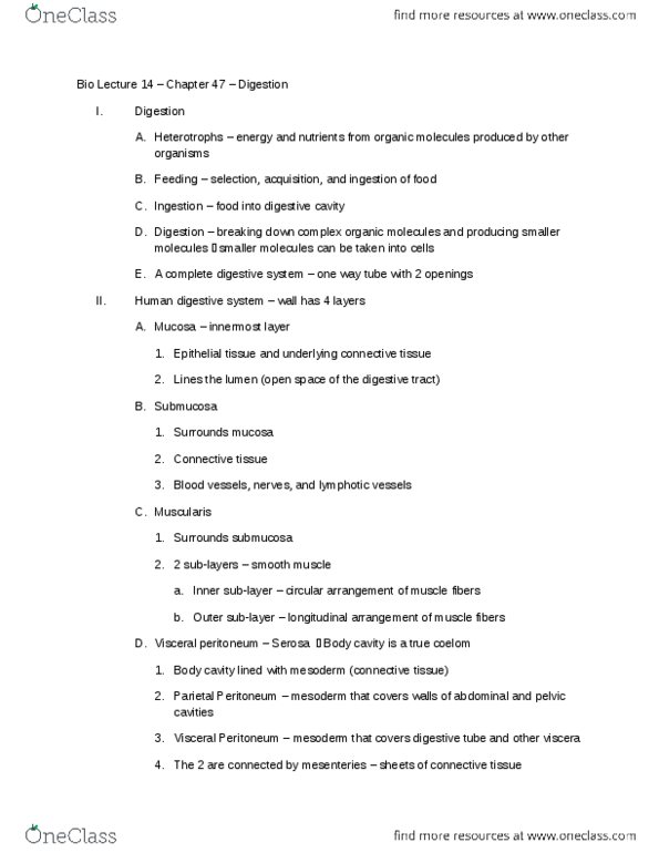 01:119:101 Lecture Notes - Lecture 14: Gastric Acid, Pylorus, Gastric Glands thumbnail