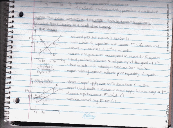 ECON 3HH3 Lecture 10: chapter 10 thumbnail