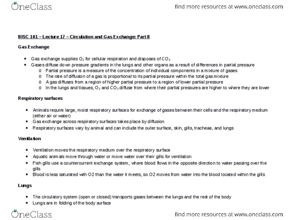 BISC 101 Lecture Notes - Lecture 17: Partial Pressure, Surface Tension, Bronchiole thumbnail