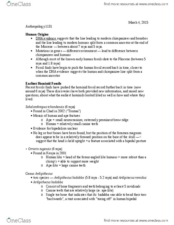 ANTH 1131 Lecture Notes - Lecture 12: Foramen Magnum, Canine Tooth, Sahelanthropus thumbnail