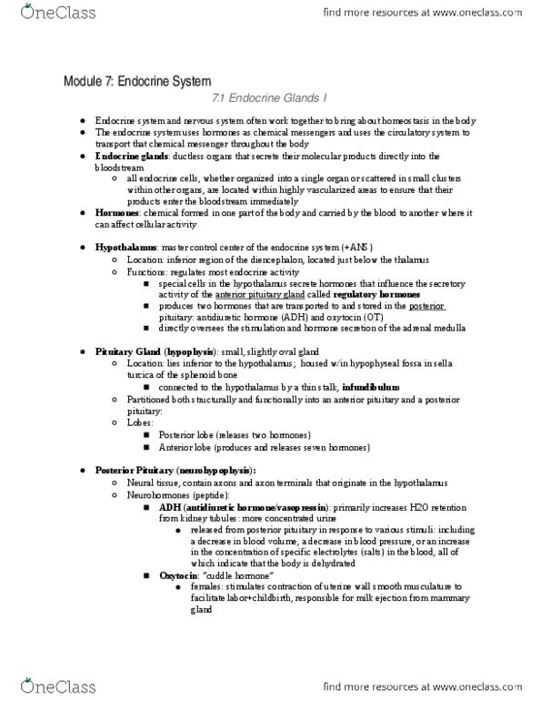 ANAT 100 Chapter Notes - Chapter 20: Pituitary Gland, Mammary Gland, Lactation thumbnail