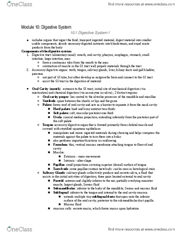 ANAT 100 Chapter 26: ANAT100 Chapter 26: Module10: Digestive System thumbnail