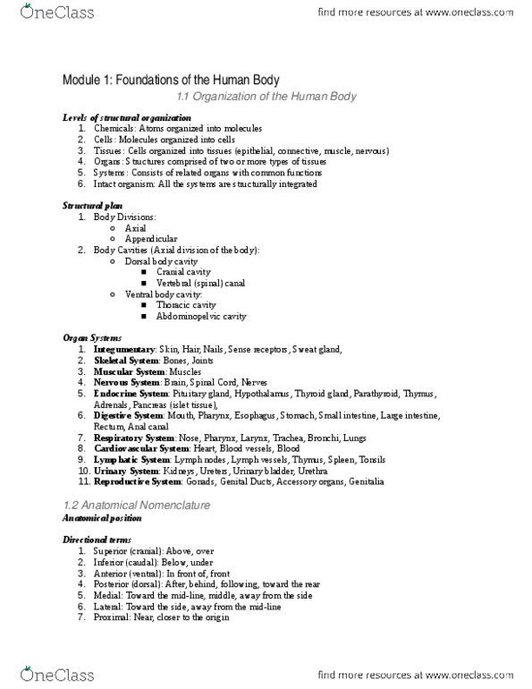 ANAT 100 Chapter Notes - Chapter 1: Abdominopelvic Cavity, Cranial Cavity, Epithelium thumbnail