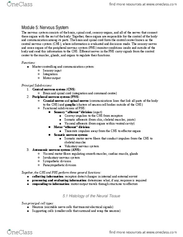 ANAT 100 Chapter Notes - Chapter 14-16: Posterior Cerebral Artery, Anterior Cerebral Artery, Central Nervous System thumbnail