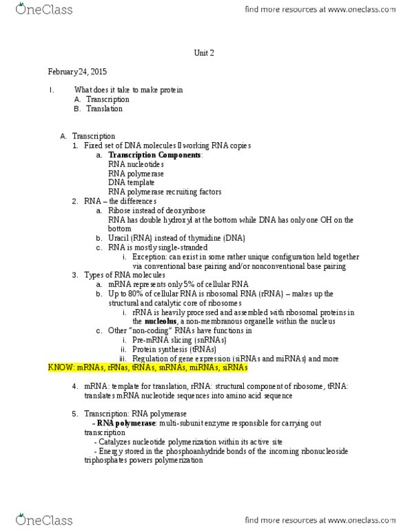 BSCI 330 Lecture Notes - Lecture 10: Eukaryotic Initiation Factor, Nonsense Mutation, Start Codon thumbnail