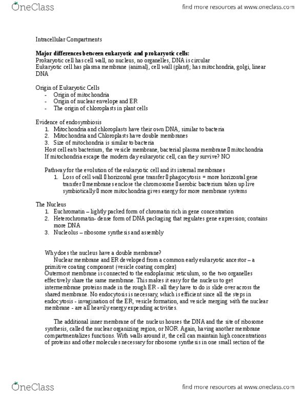 BSCI 330 Lecture Notes - Lecture 25: Nuclear Export Signal, Nuclear Localization Sequence, Histone Methylation thumbnail