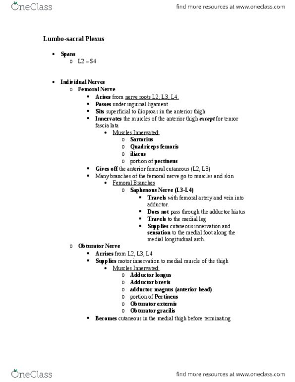 PT 5131 Lecture Notes - Lecture 5: Extensor Digitorum Muscle, Extensor Hallucis Longus Muscle, Plantaris Muscle thumbnail