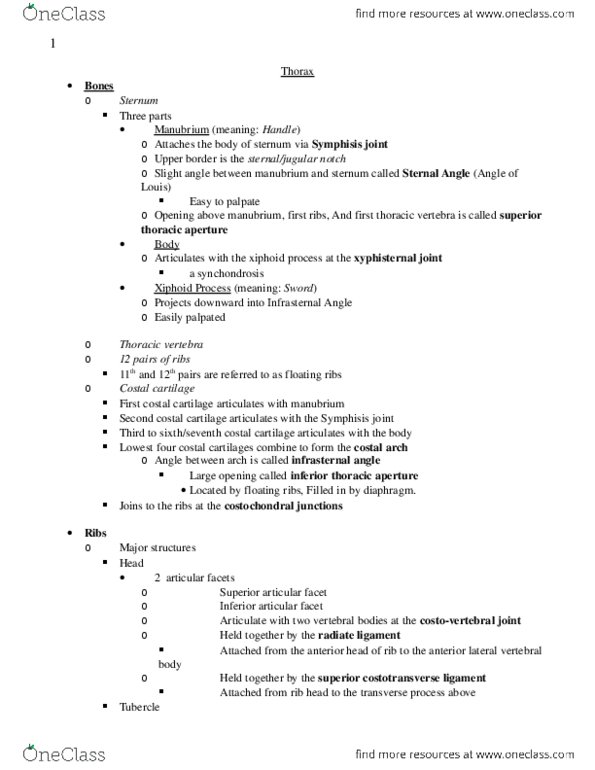 PT 5131 Lecture Notes - Lecture 9: Esophagus, Sternum, Tubercle thumbnail