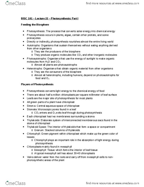 BISC 101 Lecture Notes - Lecture 22: Light-Dependent Reactions, Chlorophyll, Leaf thumbnail