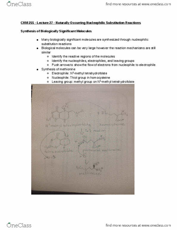 CHM 25500 Lecture Notes - Lecture 27: Allyl Group, Levomefolic Acid, Nucleophilic Substitution thumbnail