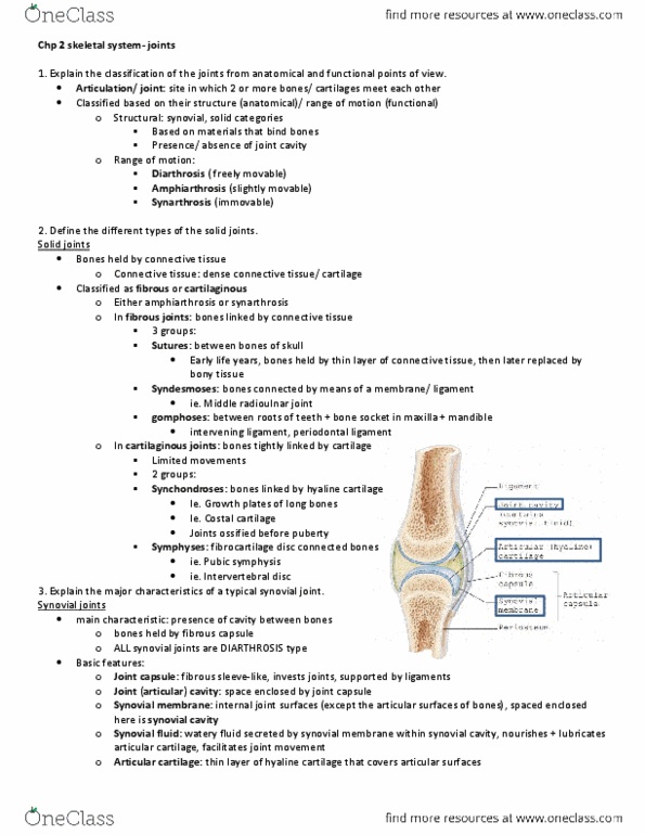 CAPS 391 Chapter Notes - Chapter 2: Transverse Costal Facet, Proximal Radioulnar Articulation, Anterior Longitudinal Ligament thumbnail