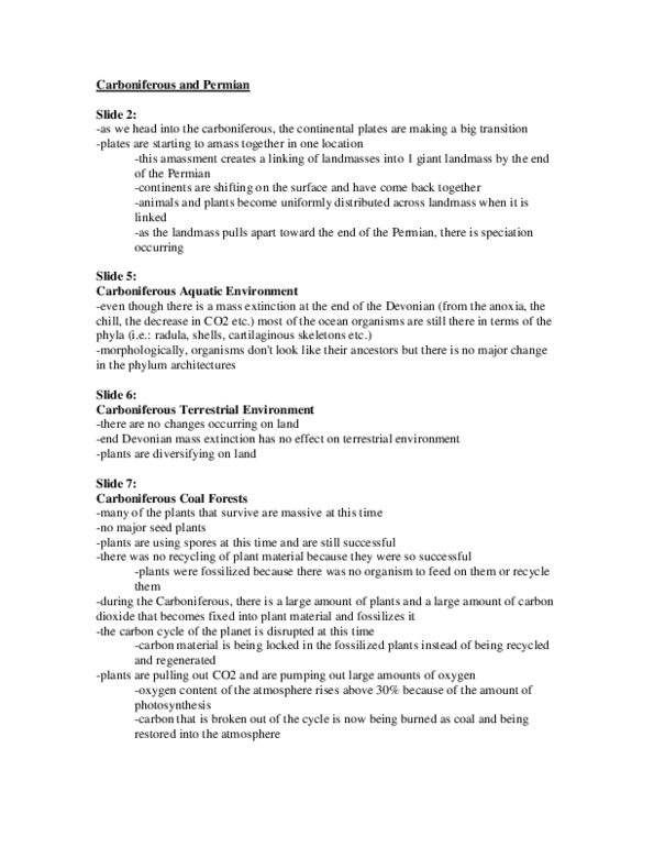 BIO 1130 Lecture : Carboniferous and Permian lecture notes.doc thumbnail