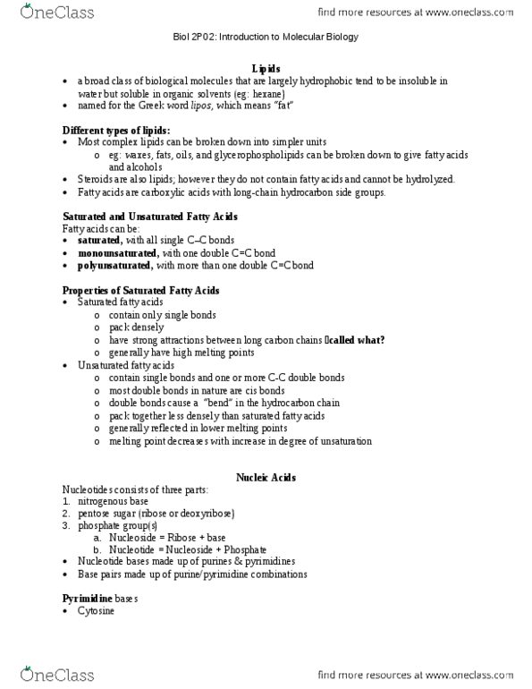 BIOL 2P02 Lecture Notes - Lecture 2: Cholesteryl Ester, Lipid Bilayer, Pyrimidine thumbnail