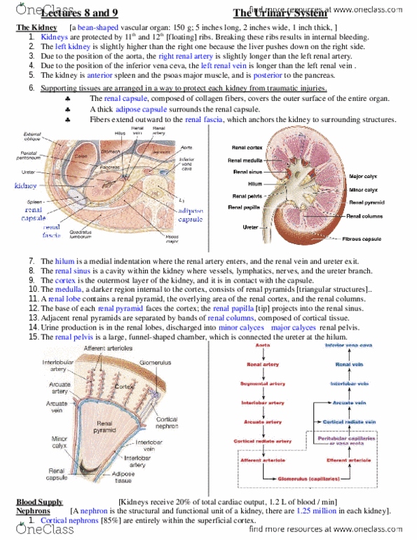 document preview image