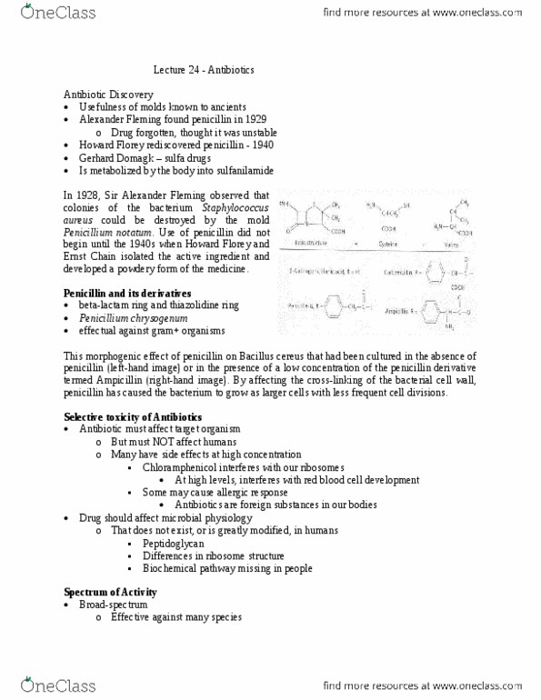 BIOL 2P98 Lecture Notes - Lecture 24: Gerhard Domagk, Thiazolidine, Folic Acid thumbnail