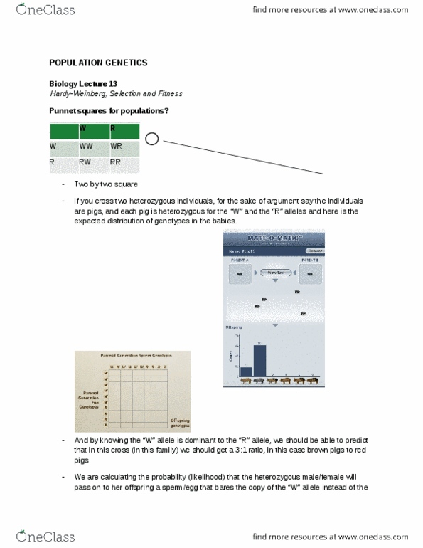 Biology 1001A Lecture Notes - Lecture 13: Genotype Frequency, Frequency-Dependent Selection, Genetic Drift thumbnail