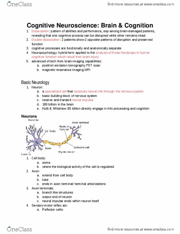PSYC 221 Chapter Notes - Chapter 9: Occipital Lobe, Axon Terminal, Temporal Lobe thumbnail