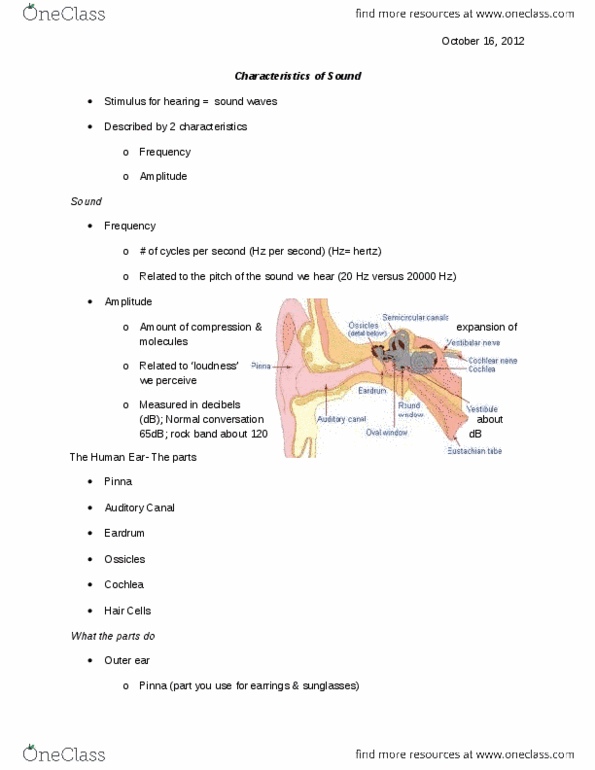 PS101 Lecture Notes - Lecture 10: Basilar Membrane, Oval Window, Outer Ear thumbnail