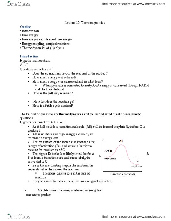 BIOL 3P30 Lecture Notes - Lecture 24: Endergonic Reaction, Activation Energy, Protein Folding thumbnail