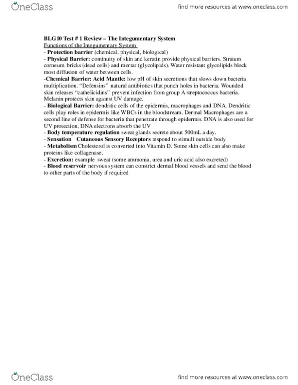 BLG 10A/B Chapter Notes - Chapter 5: Melanin, Melanocyte, Melanoma thumbnail