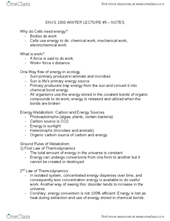 ENVS 1500 Lecture Notes - Lecture 16: Chlorophyll, C3 Carbon Fixation, Light-Dependent Reactions thumbnail