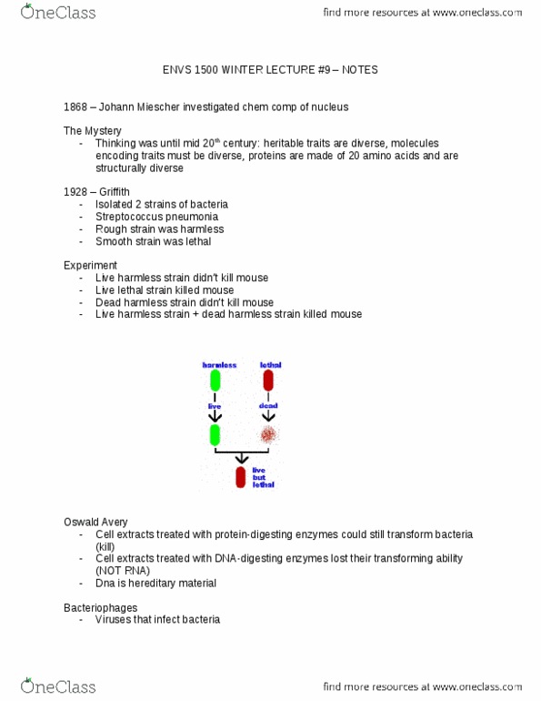 ENVS 1500 Lecture Notes - Lecture 20: Oswald Avery, Deoxyribose, Cloning thumbnail