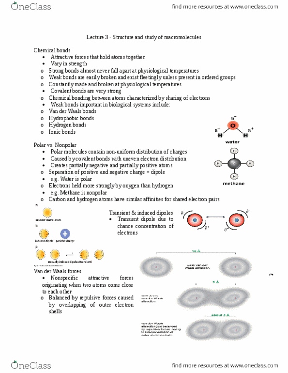 BIOL 3P50 Lecture Notes - Lecture 3: Guanine, Hydrolysis, Polynucleotide thumbnail
