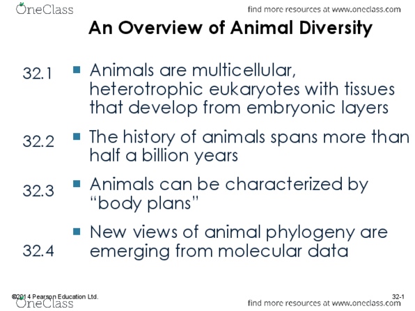 BIOL 225 Chapter 32: Chapter 32 An overview of Animal Diversity thumbnail