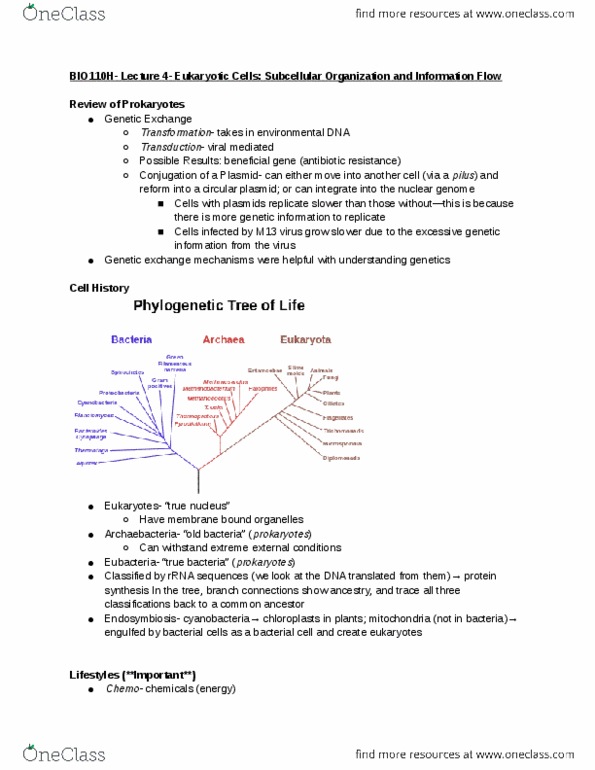 document preview image