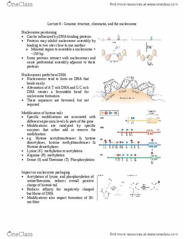 document preview image