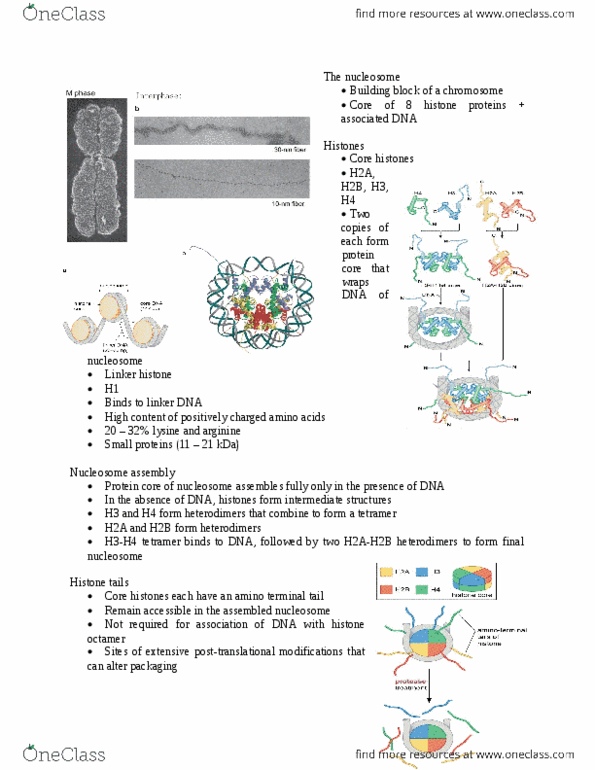 document preview image