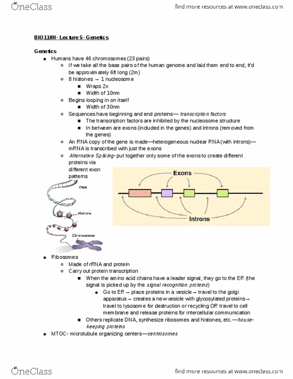 document preview image